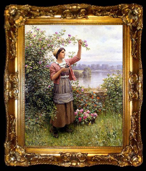 framed  Daniel Ridgeway Knight Gathering Roses, ta009-2